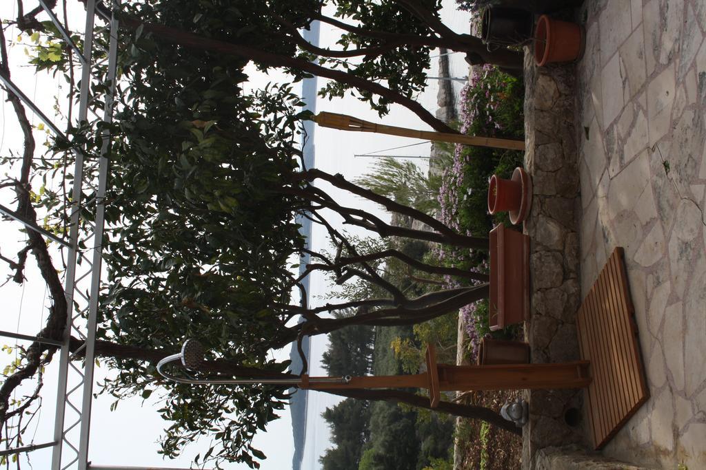 Villa Marijam Hvar Town Dış mekan fotoğraf